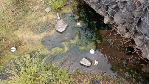 Gully with retaining wall and puddle