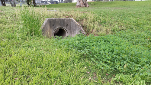 Drain opening with telltale signs of water