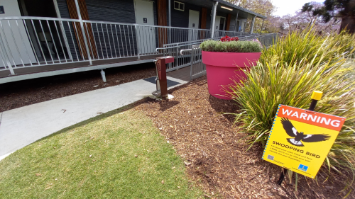 Public toilets with new magpie sign