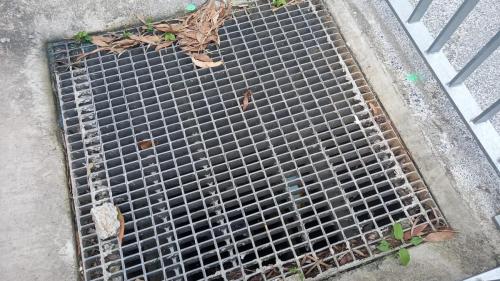 A large drain below the retaining wall, with 24/7 water flow from the aquifer under the hill